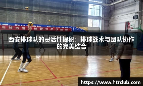 西安排球队的灵活性揭秘：排球战术与团队协作的完美结合